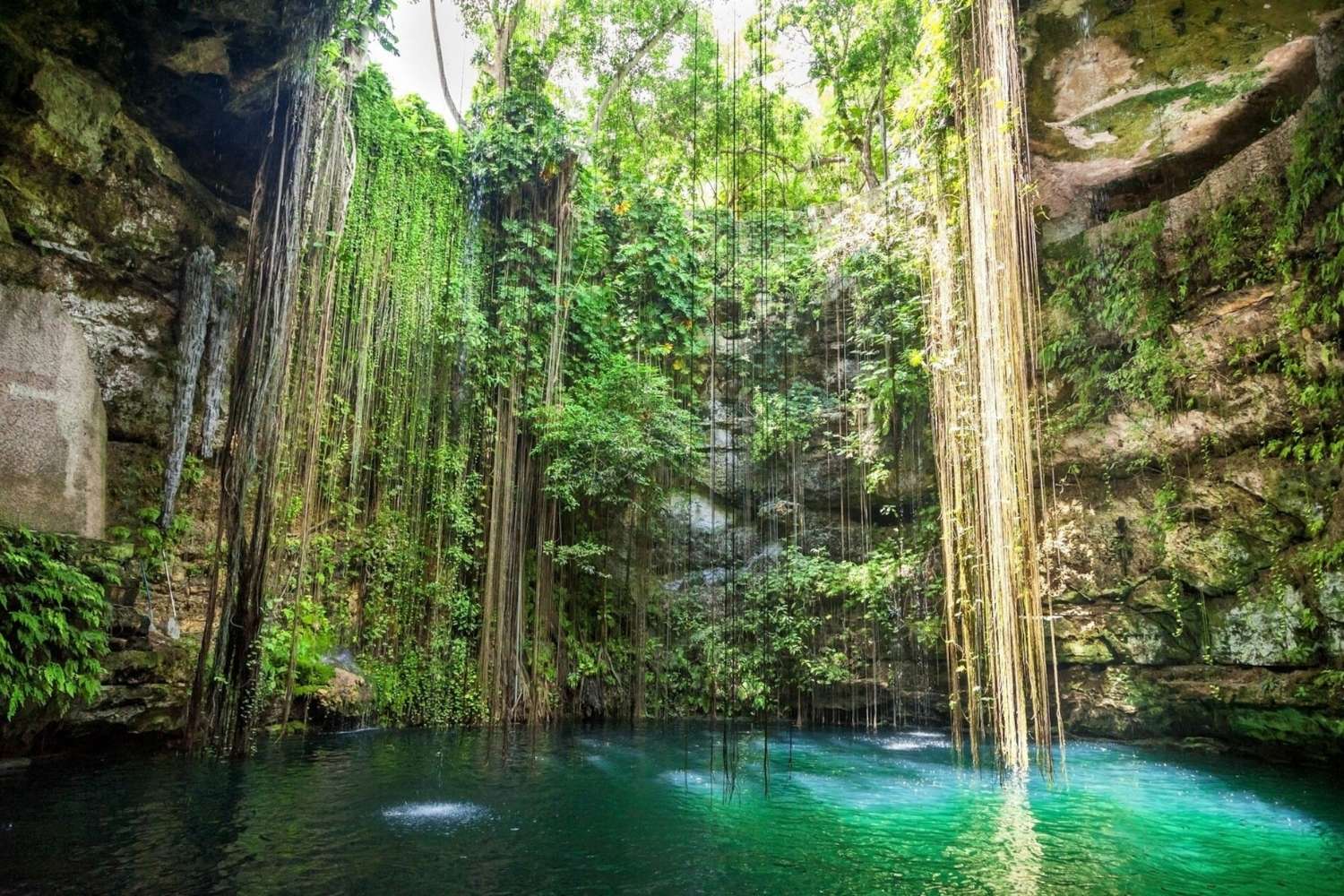 mapping-the-hidden-rivers-of-mexicos-roo-quintana-cenotes