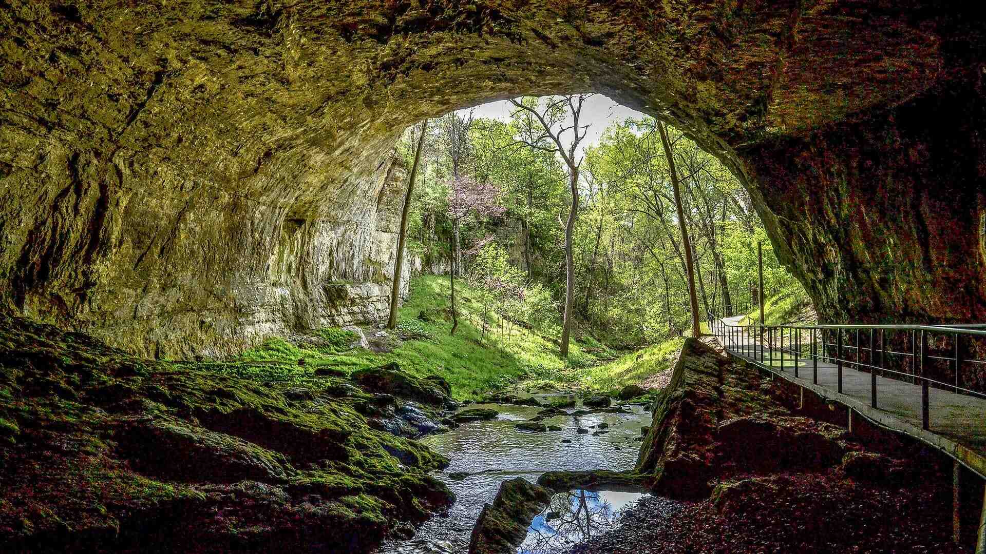 missouris-hidden-cave-research-projects