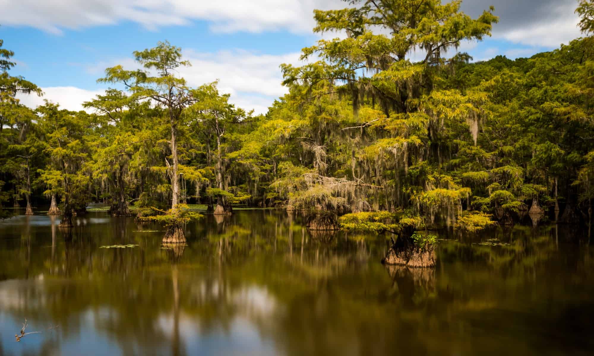 mysteries-of-texass-caddo-lake-cypress-maze
