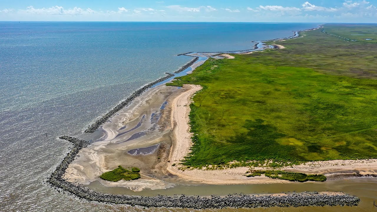Secret-Bird-Sanctuaries-In-Louisiana8217s-Rockefeller-Refuge secret-bird-sanctuaries-in-louisianas-rockefeller-refuge
