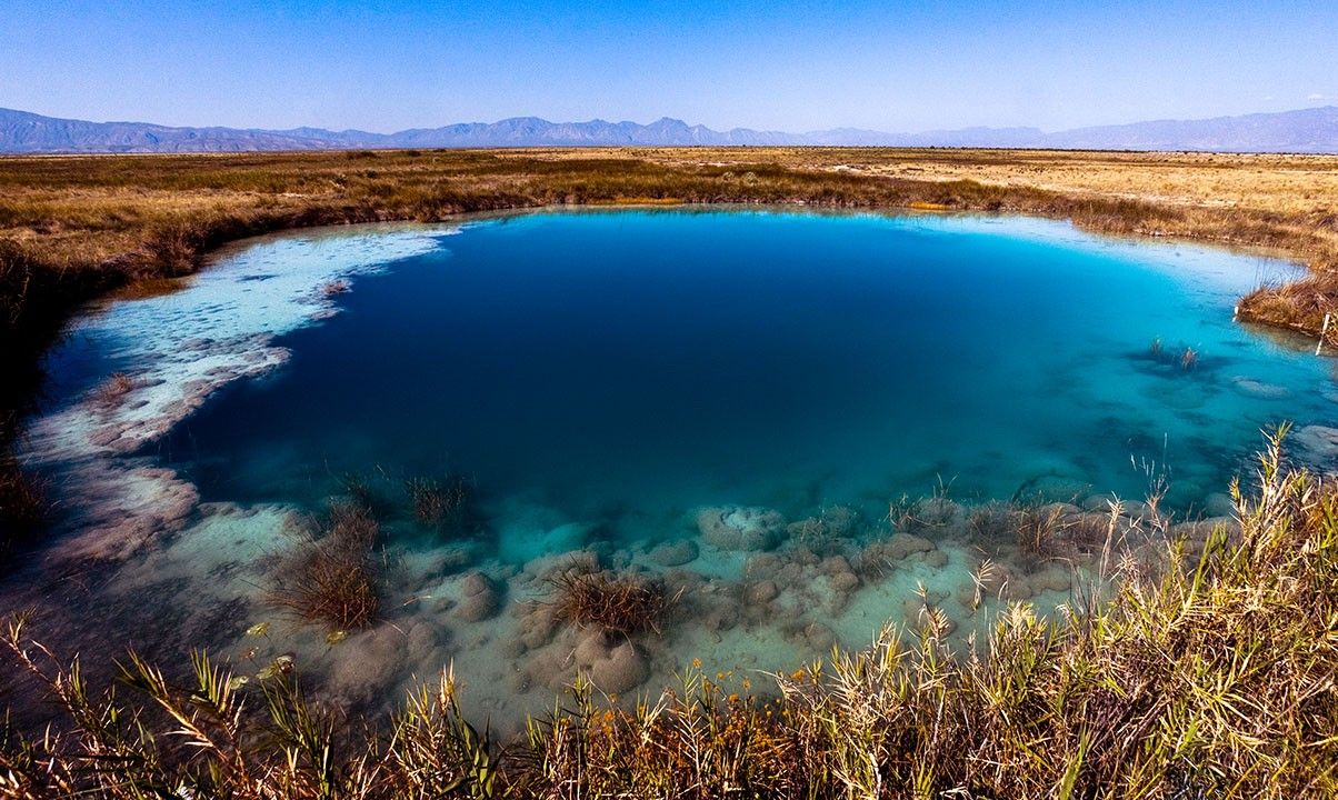 secret-oases-of-new-mexicos-chihuahuan-desert