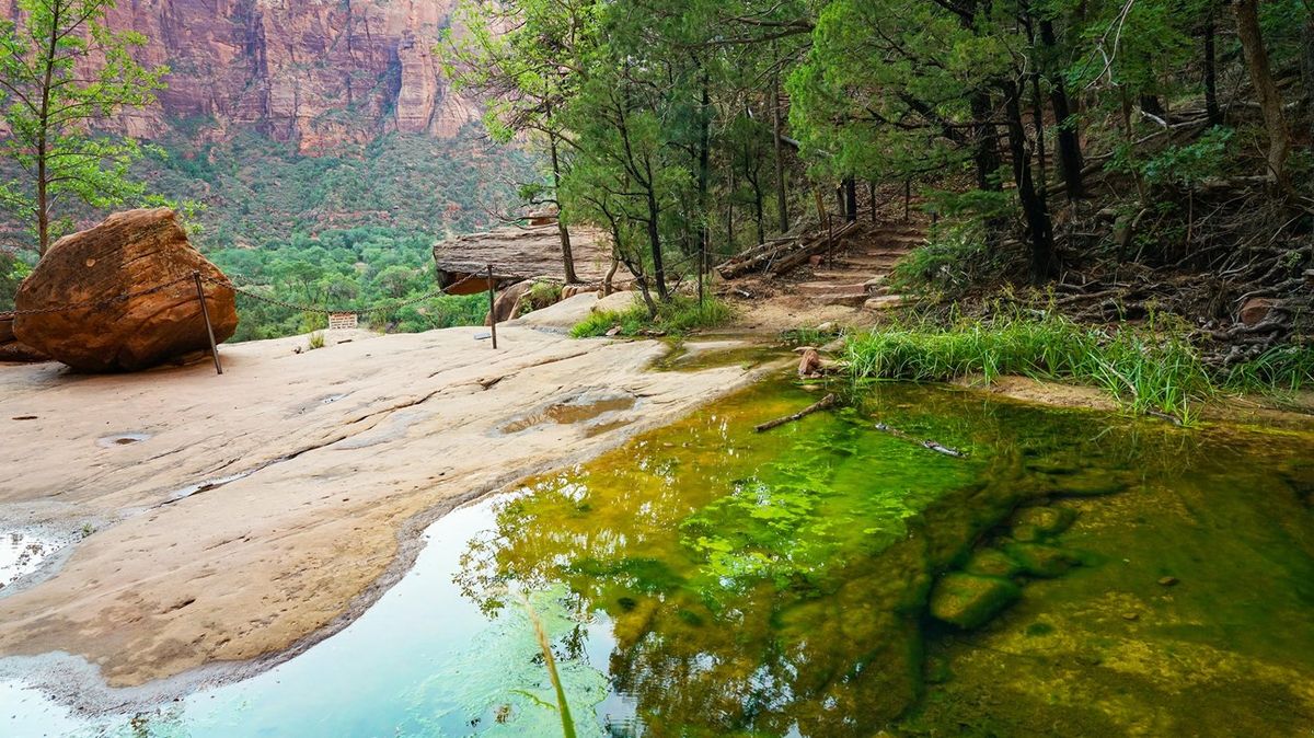 secret-pools-of-utahs-zion-emerald