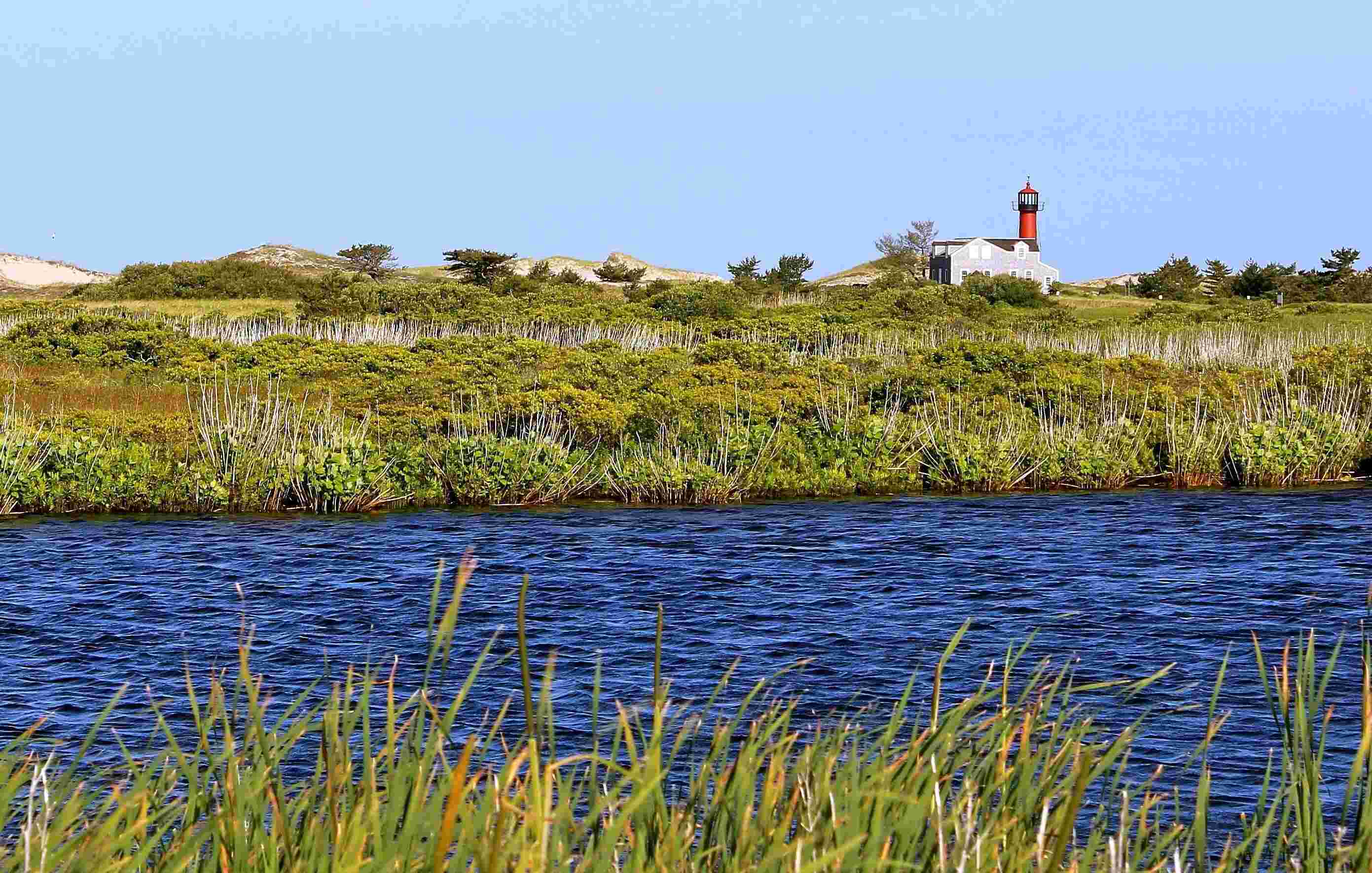 secret-shorebird-feeding-spots-in-massachusettss-monomoy-refuge