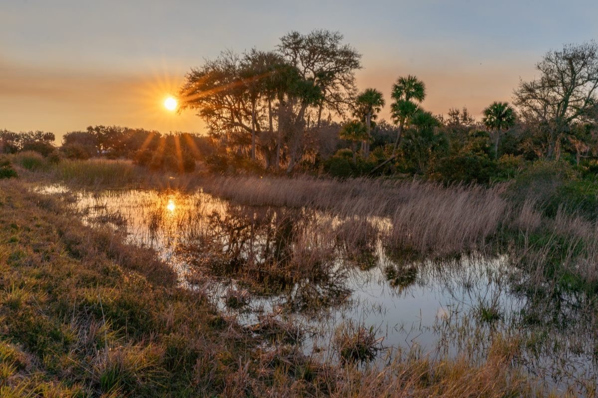 secret-spots-for-bird-photography-in-floridas-everglades
