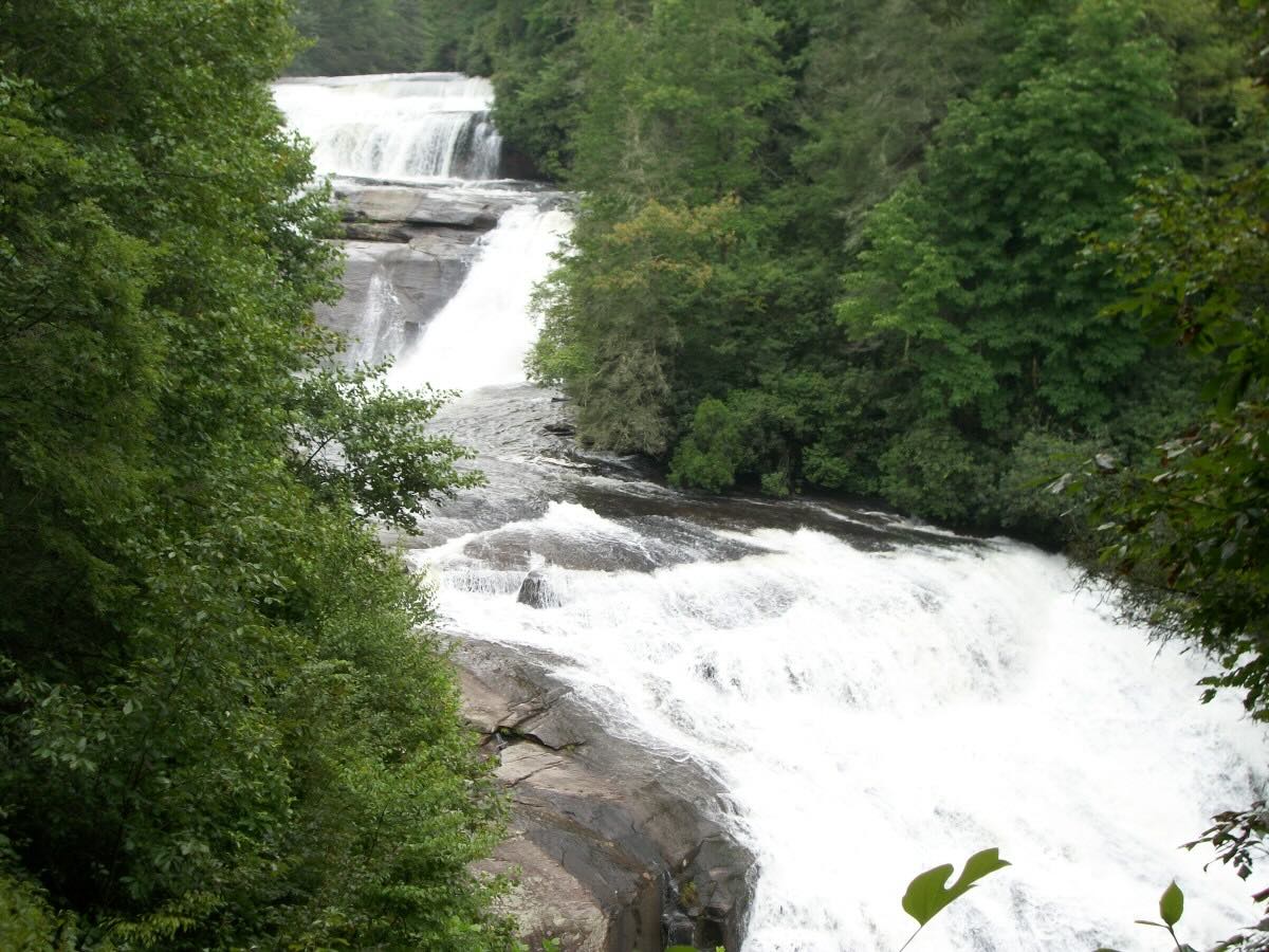 secret-waterfall-trails-in-north-carolinas-dupont-forest