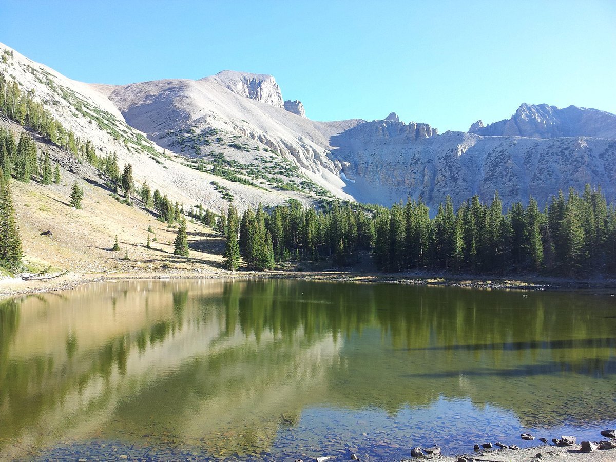 secret-wildlife-tracking-courses-in-utahs-great-basin-national-park