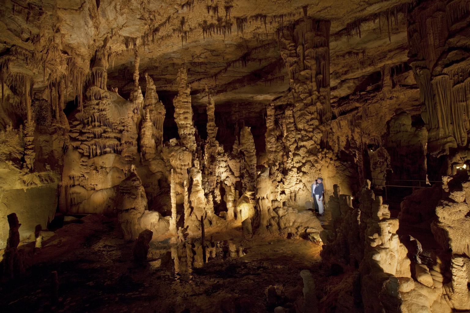 secrets-of-alabamas-cathedral-caverns-ecosystem