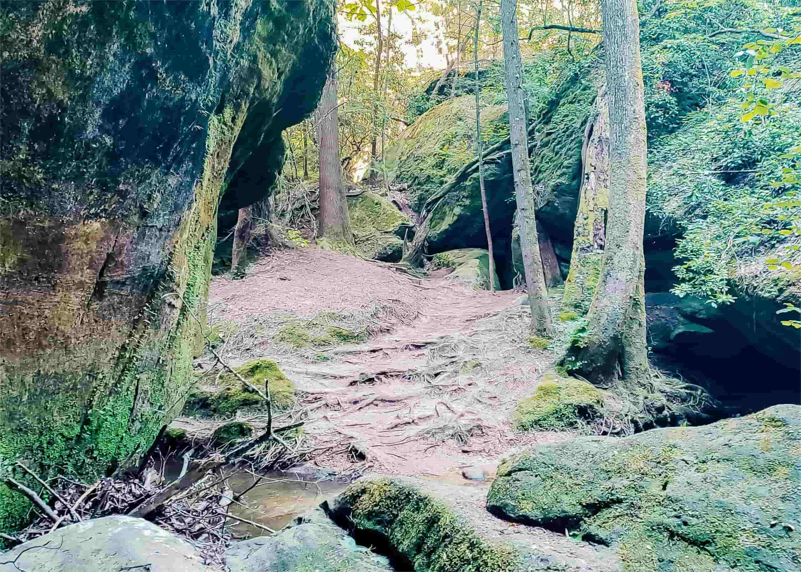 secrets-of-alabamas-dismals-wonder-underground-rivers