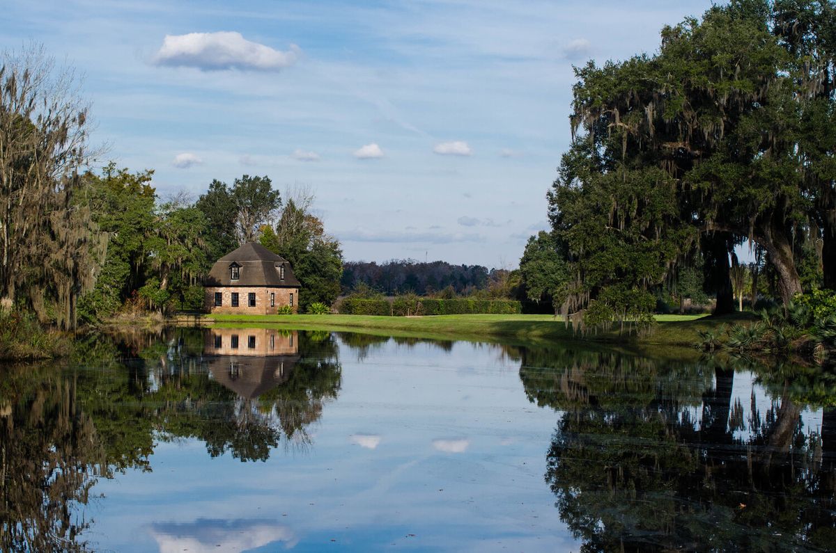 secrets-of-alligator-nurseries-at-middleton-place-in-south-carolina