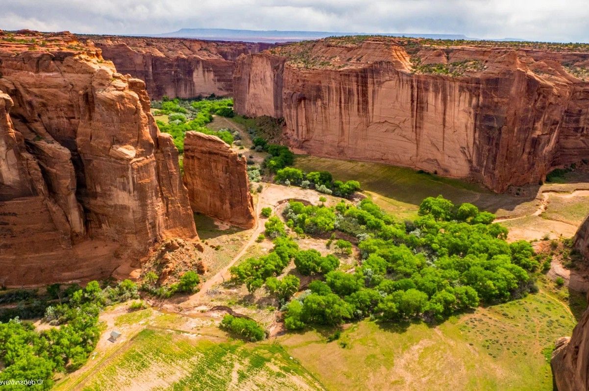 secrets-of-arizonas-canyon-de-chelly-moss-gardens