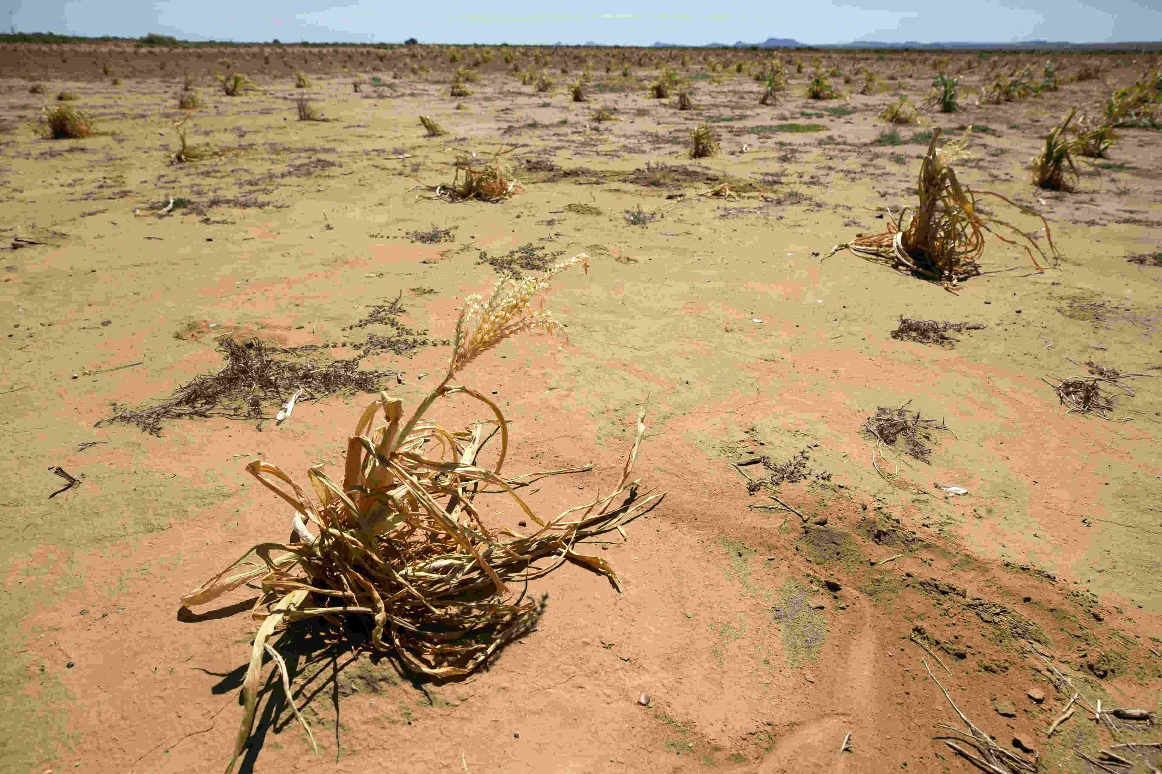 secrets-of-arizonas-desert-climate-change-research