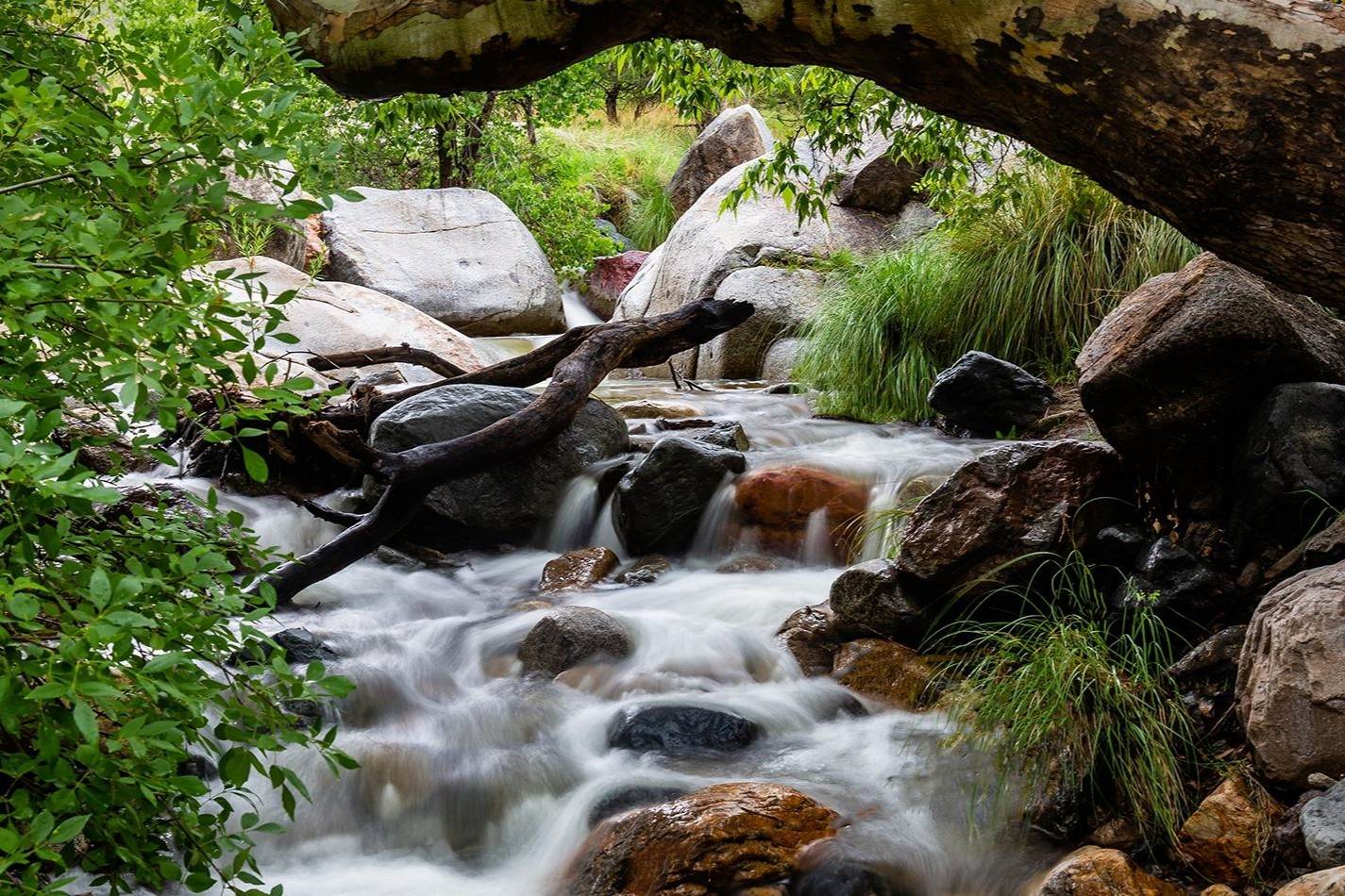 secrets-of-arizonas-madera-canyon-rock-pools