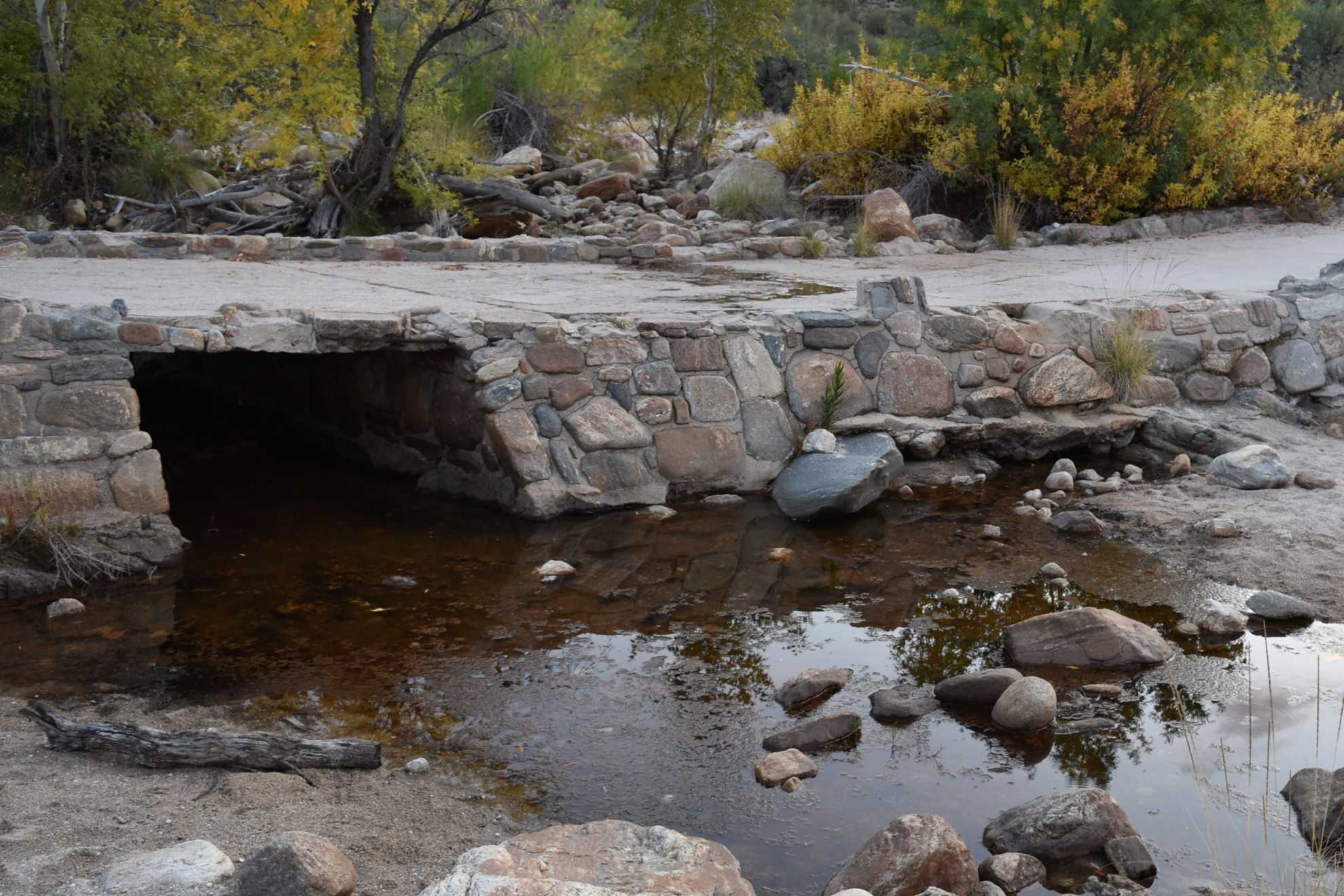 secrets-of-arizonas-sabino-canyon-arroyos