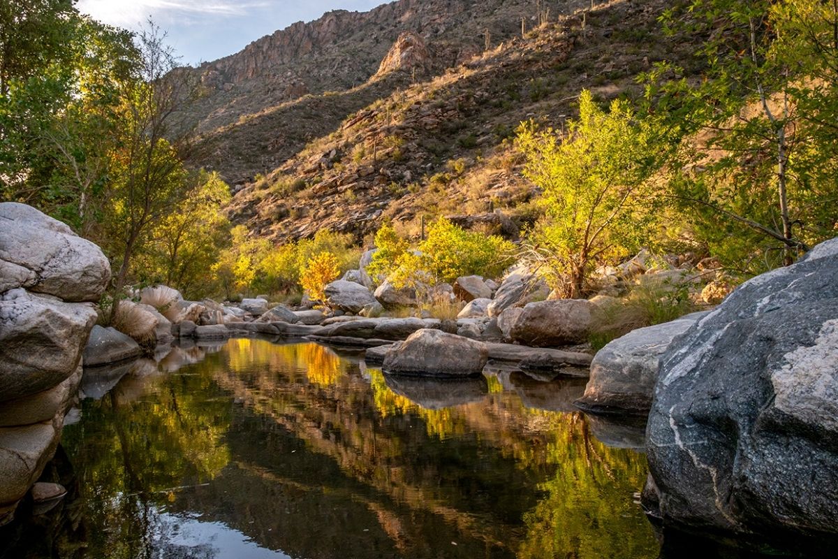 secrets-of-arizonas-sabino-canyon-springs