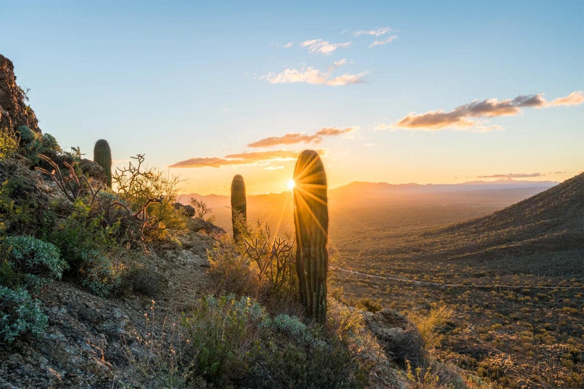 secrets-of-arizonas-saguaro-east-wilderness-arroyos
