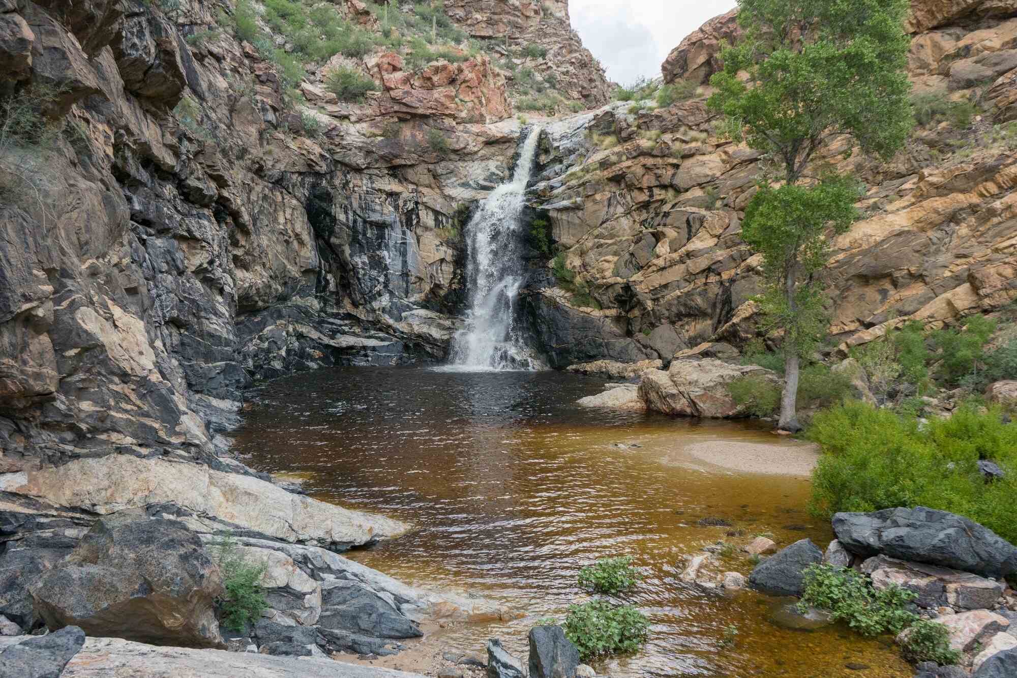 secrets-of-arizonas-tanque-verde-falls-pools