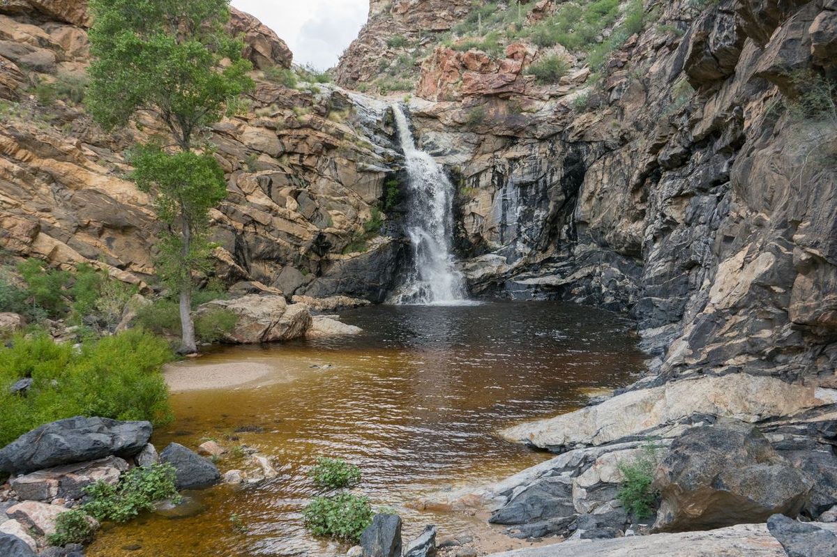 secrets-of-arizonas-tanque-verde-falls-trail-pool