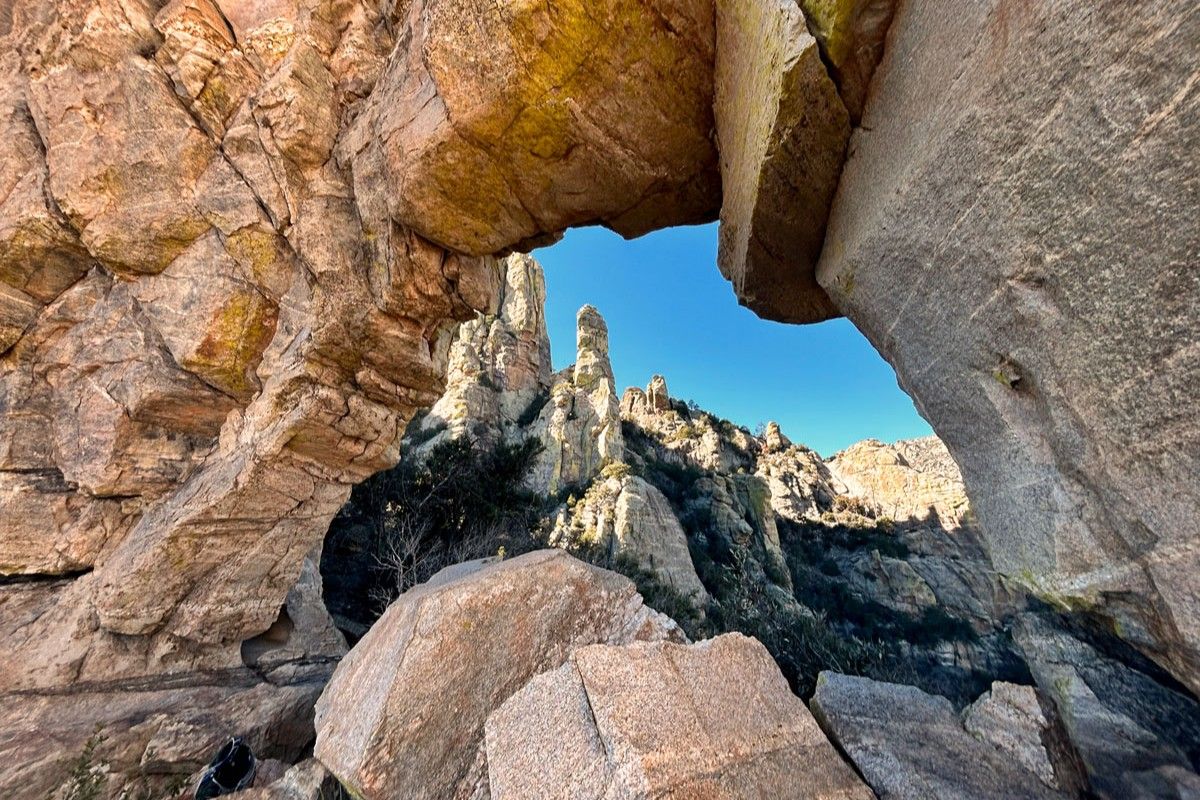 secrets-of-arizonas-ventana-wilderness-palm-grove-springs