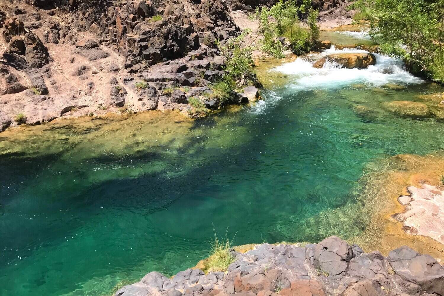 secrets-of-arizonas-verde-river-springs