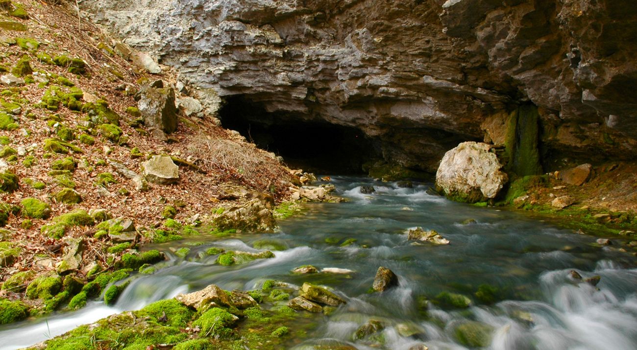 secrets-of-arkansass-underground-river-ecosystem