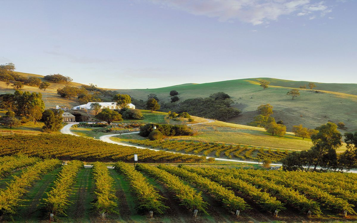 secrets-of-australias-barossa-valley-wine-caves