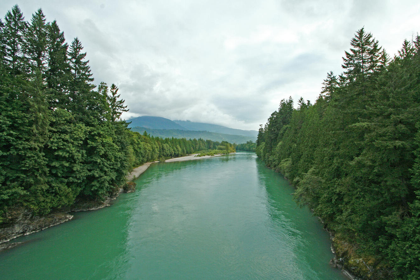 Secrets-Of-Bald-Eagle-Nesting-In-Washington8217s-Skagit-River secrets-of-bald-eagle-nesting-in-washingtons-skagit-river