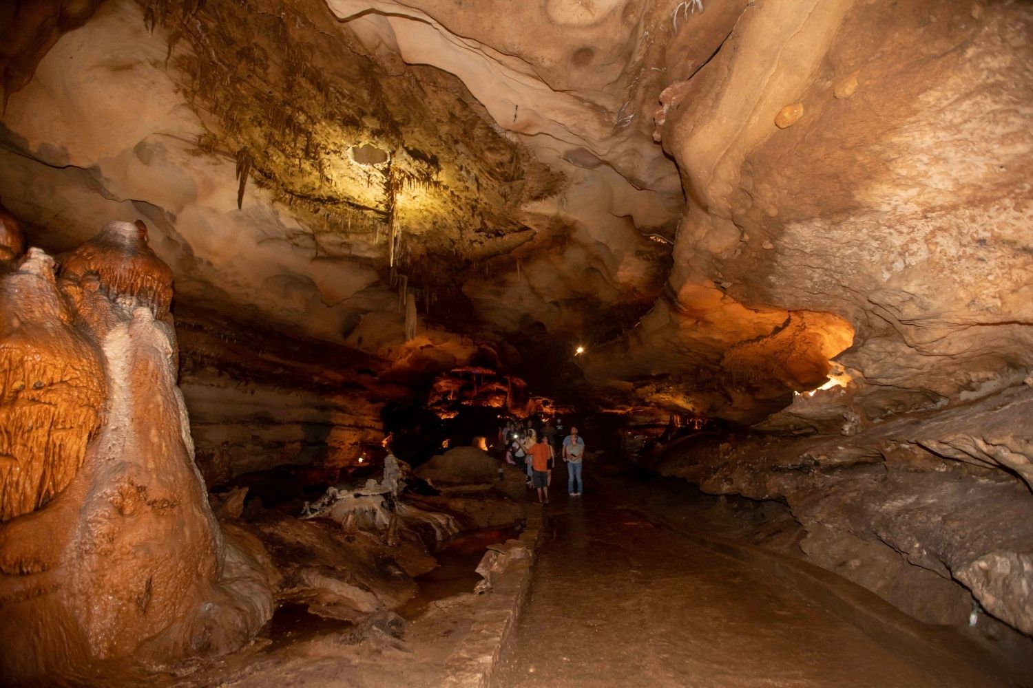 secrets-of-bat-hibernation-in-indianas-marengo-cave