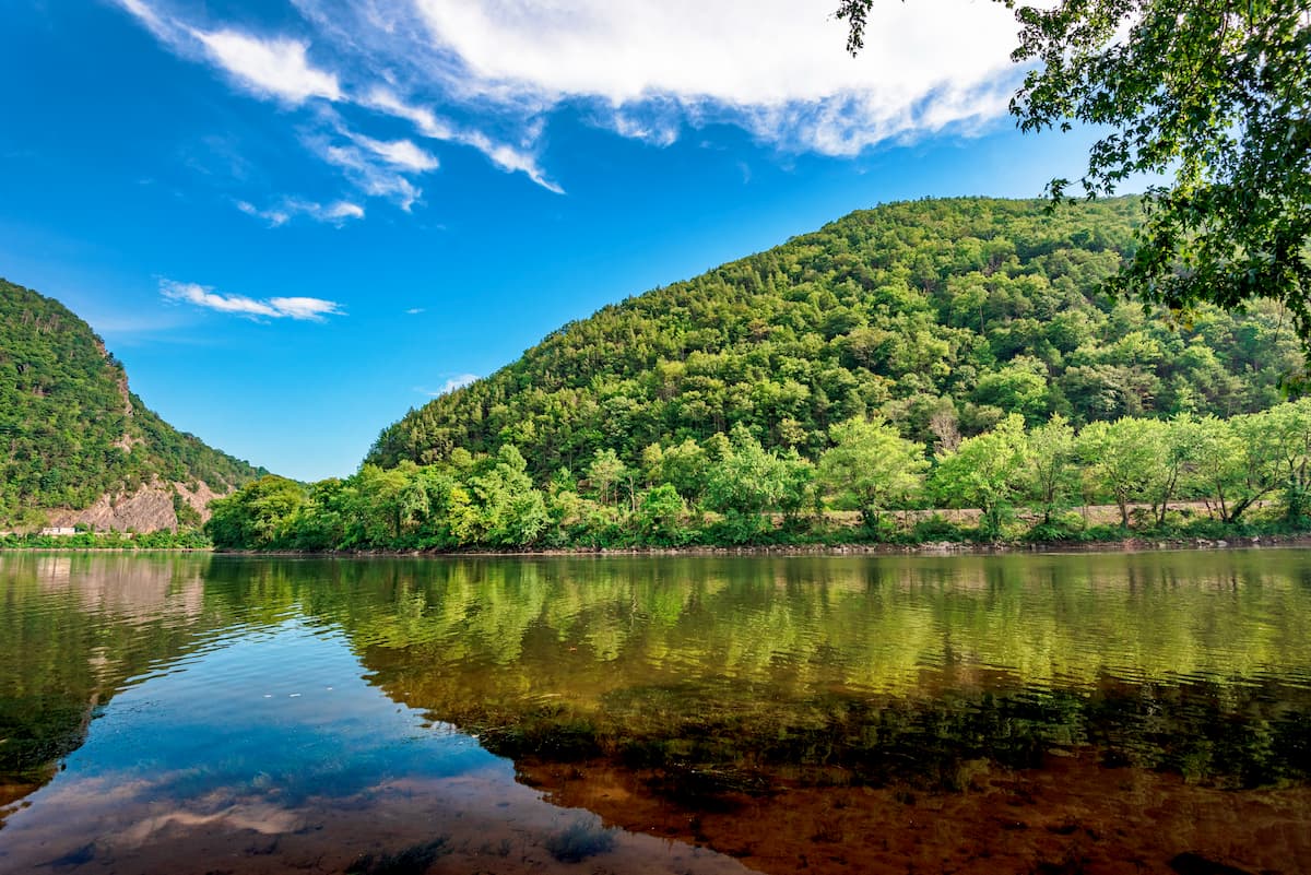 Secrets-Of-Black-Bear-Habitats-In-New-Jersey8217s-Kittatinny-Mountains secrets-of-black-bear-habitats-in-new-jerseys-kittatinny-mountains
