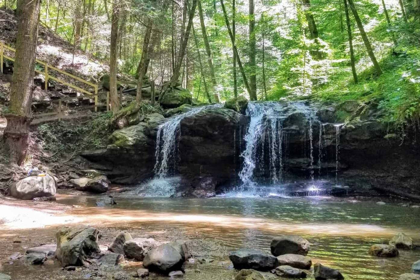 secrets-of-black-bear-paths-in-tennessees-frozen-head-state-park