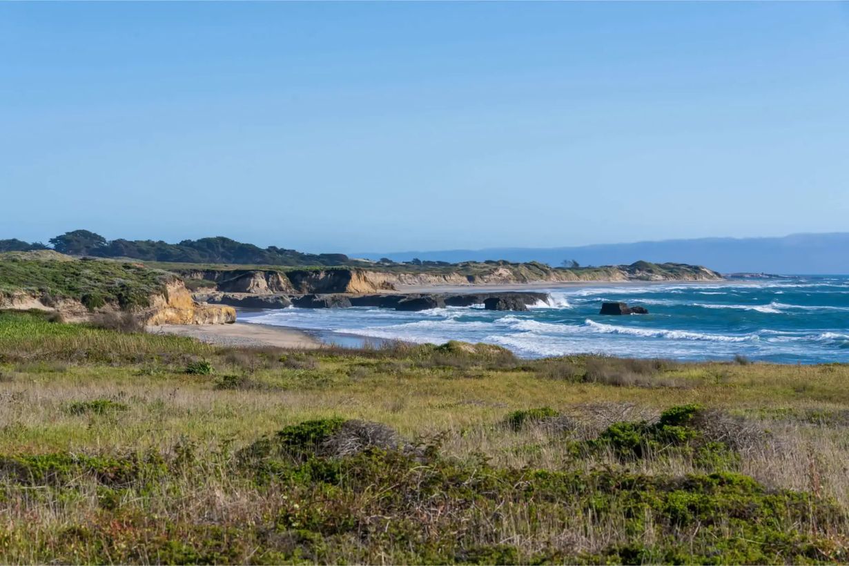 secrets-of-californias-ano-nuevo-state-park-bluffs