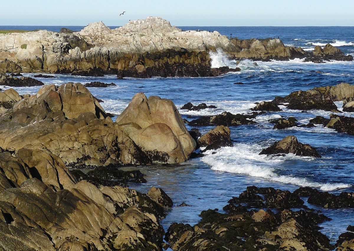 secrets-of-californias-asilomar-beach-tidal-pools