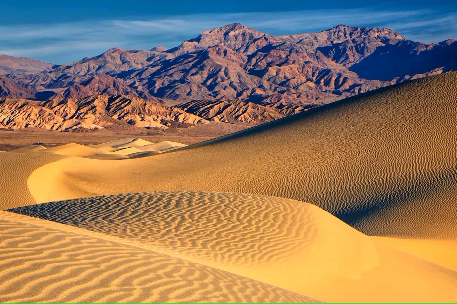 secrets-of-californias-desert-wildlife-corridors