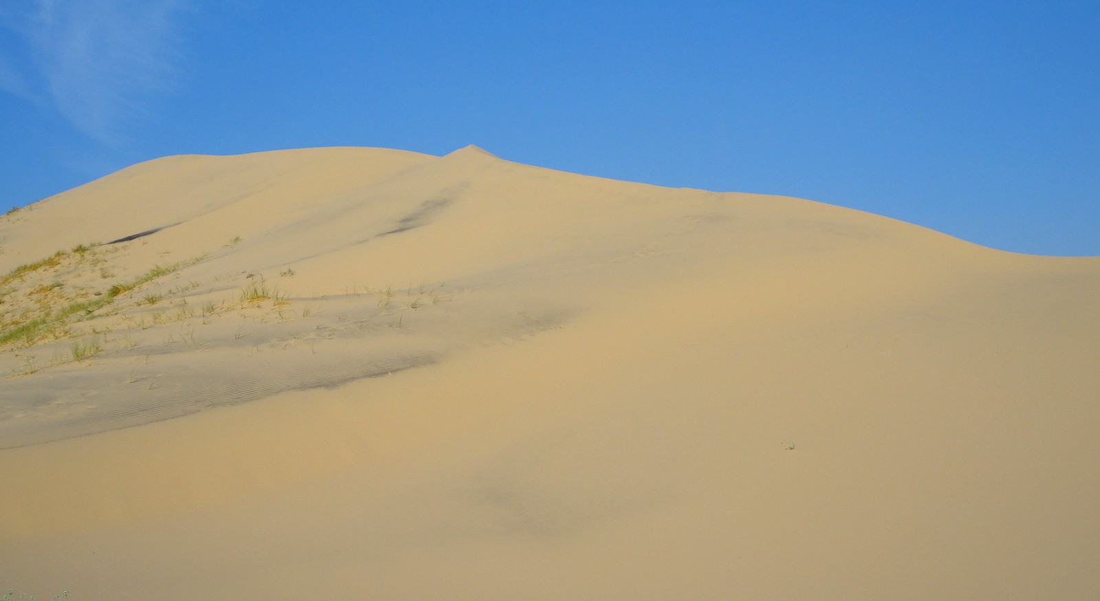 secrets-of-californias-kelso-dunes-pools