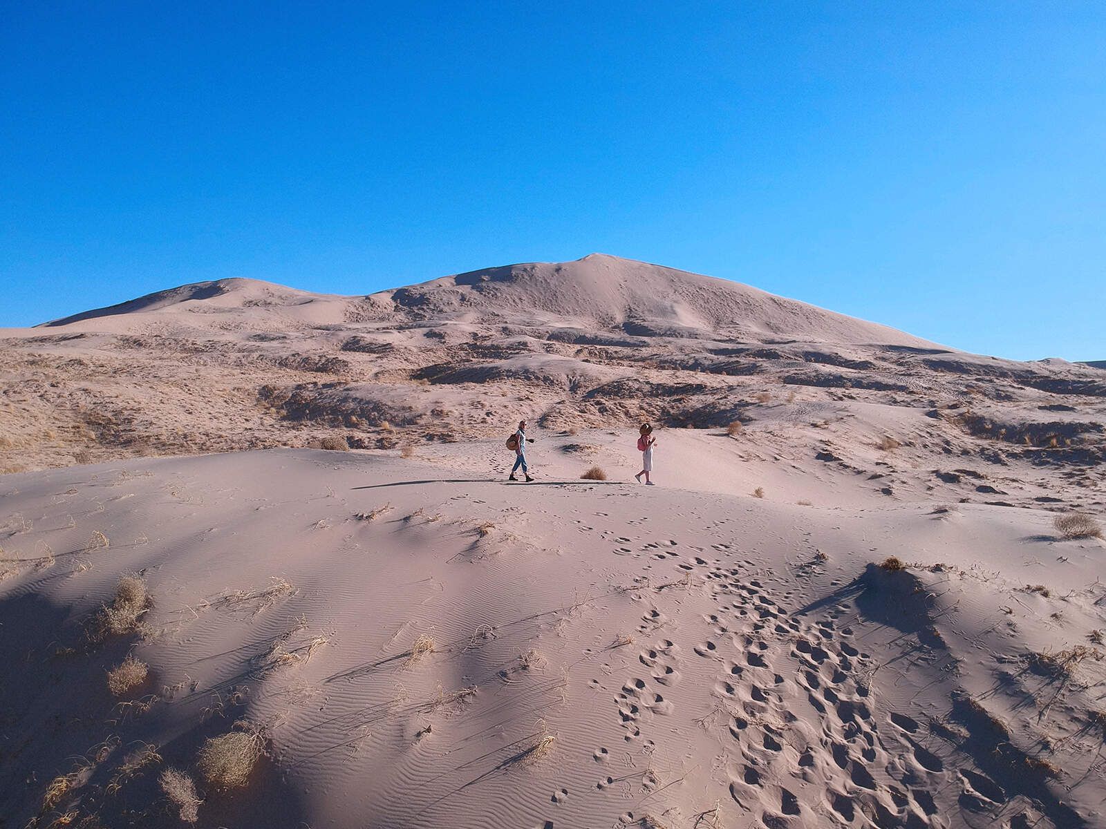 secrets-of-californias-kelso-dunes-springs