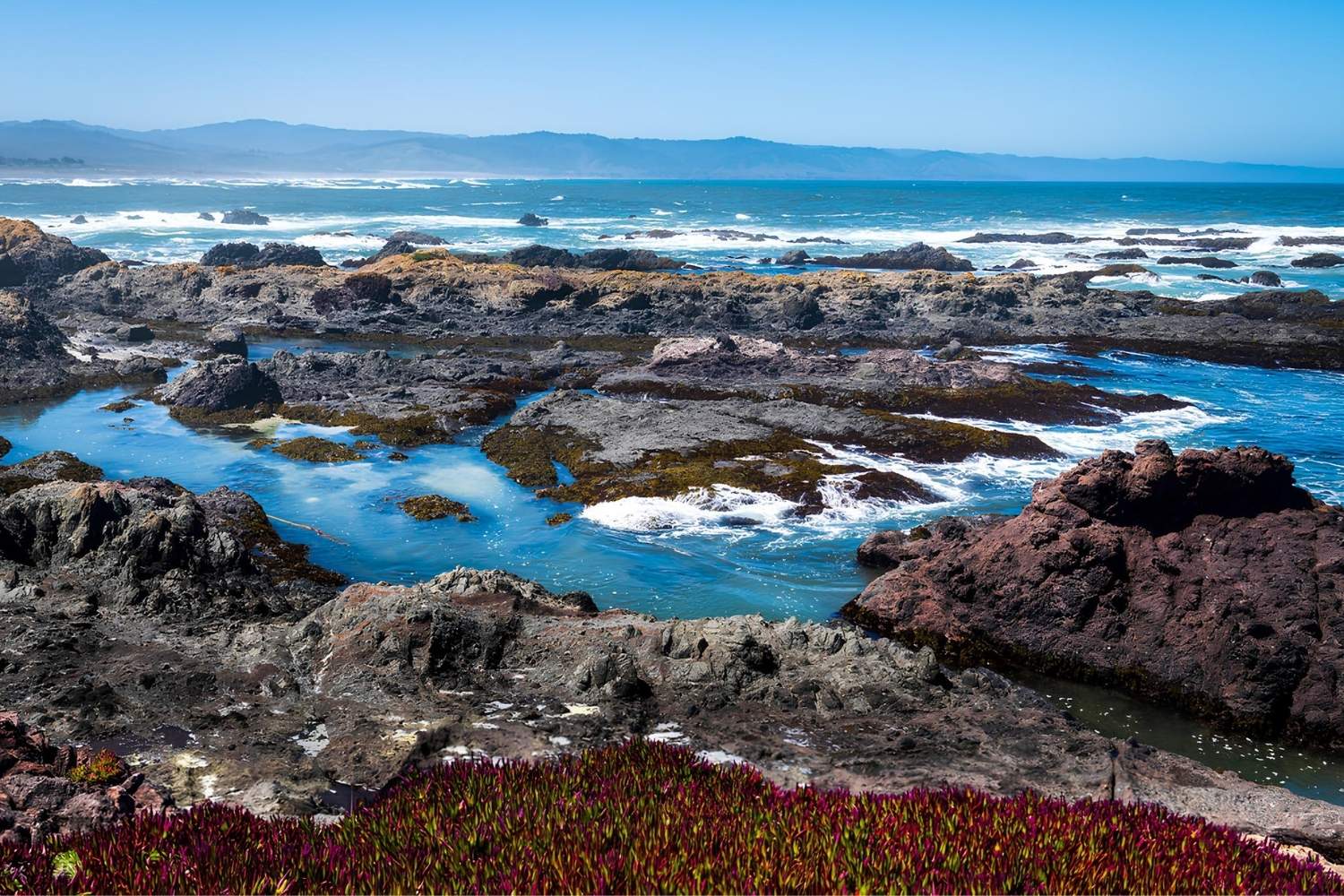 secrets-of-californias-mendocino-tide-pools