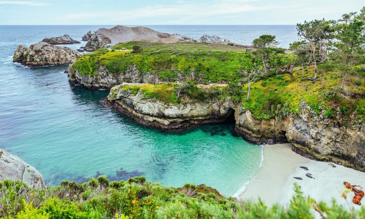 secrets-of-californias-point-lobos-coastal-headlands