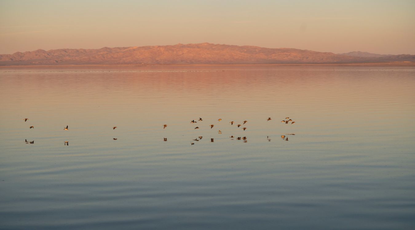 secrets-of-californias-salton-sea-vents