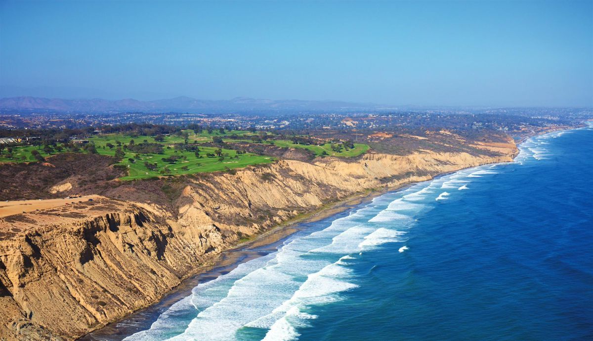 secrets-of-californias-torrey-pines-coastal-bluffs