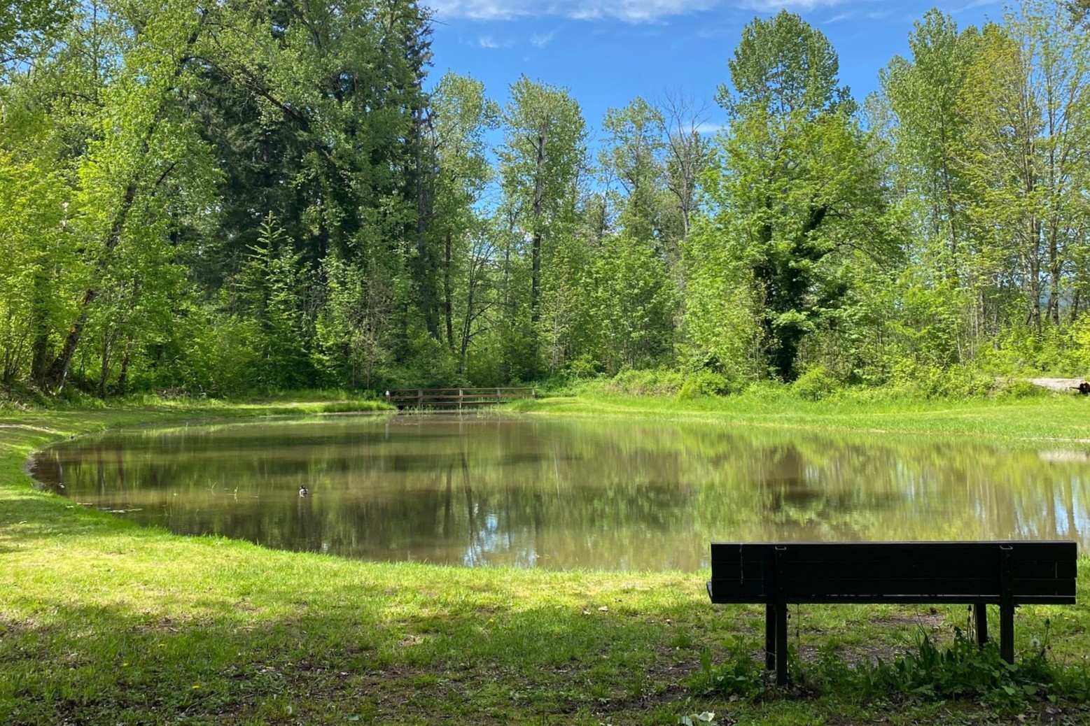 secrets-of-carbon-capture-in-washingtons-pack-forest