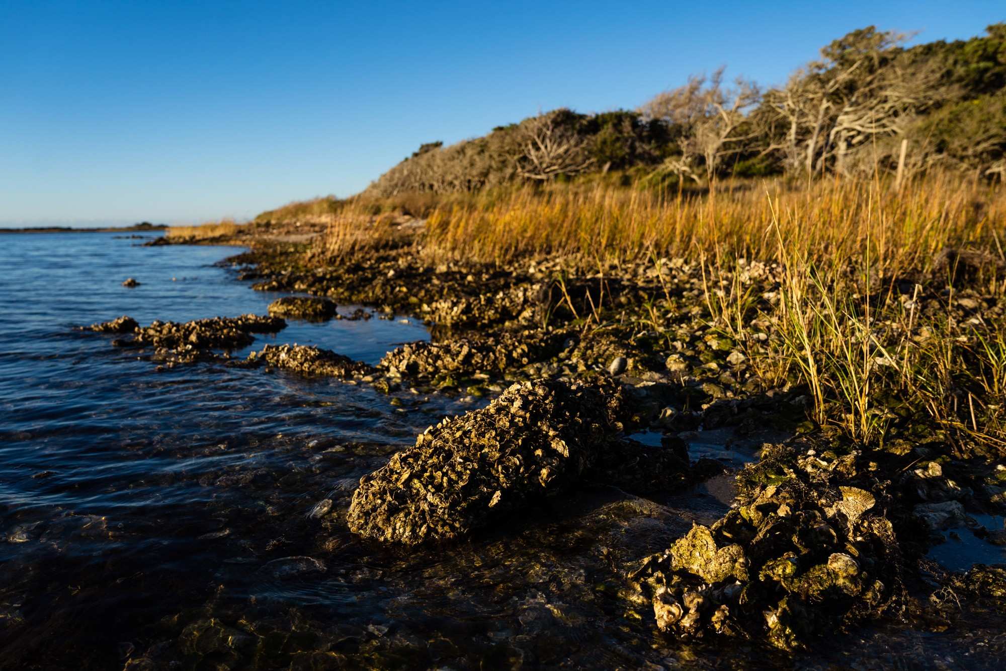secrets-of-cedar-islands-tidal-channels