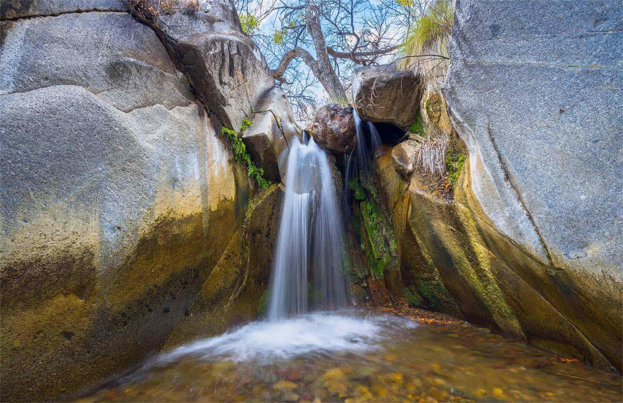 secrets-of-climate-monitoring-in-washingtons-h-j-andrews-forest