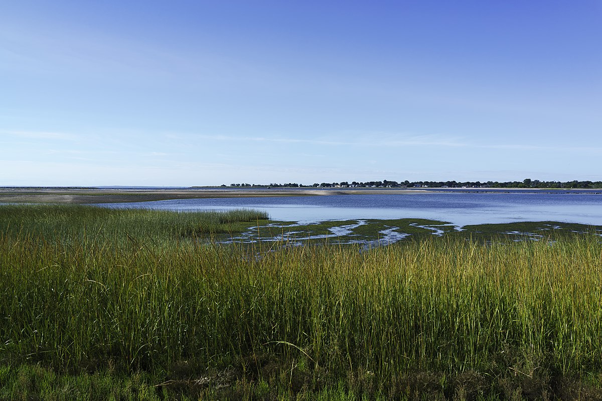 secrets-of-connecticuts-tidal-marsh-sanctuaries