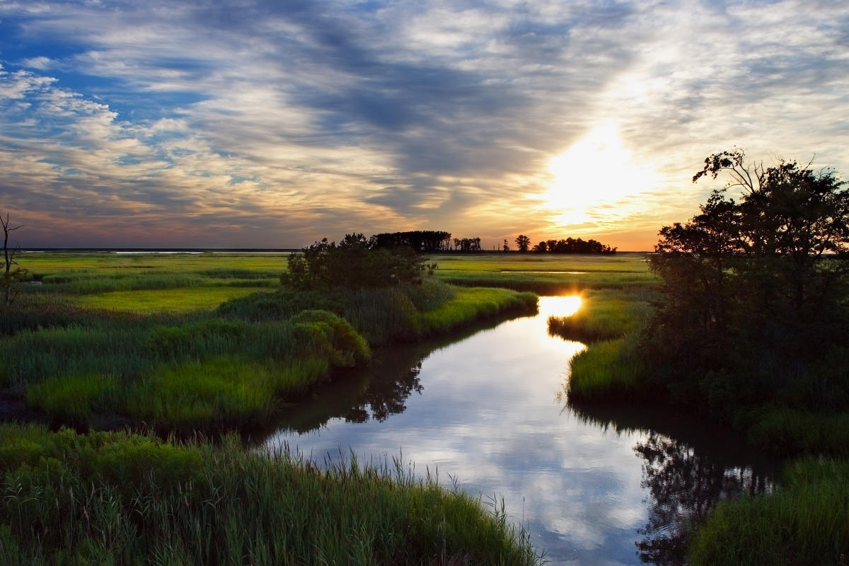 secrets-of-delawares-prime-hook-refuge-marsh-channels