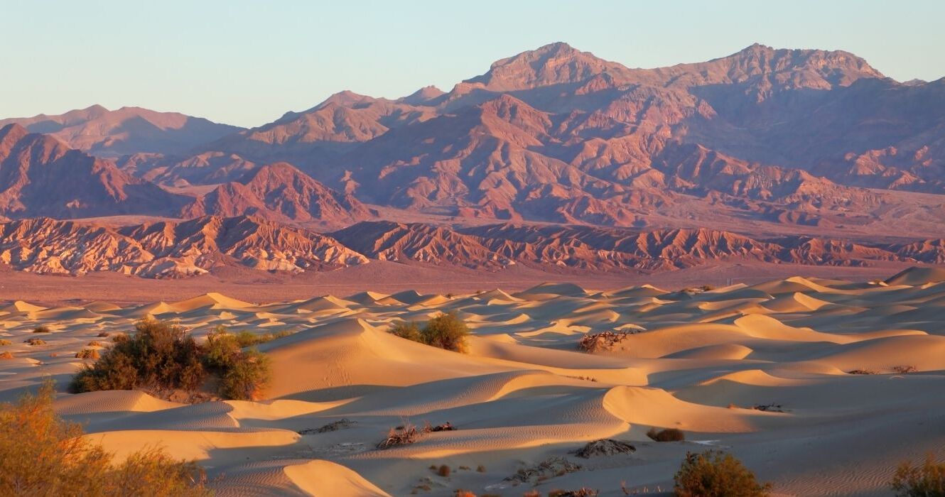 secrets-of-desert-bighorn-sheep-habitats-in-californias-death-valley