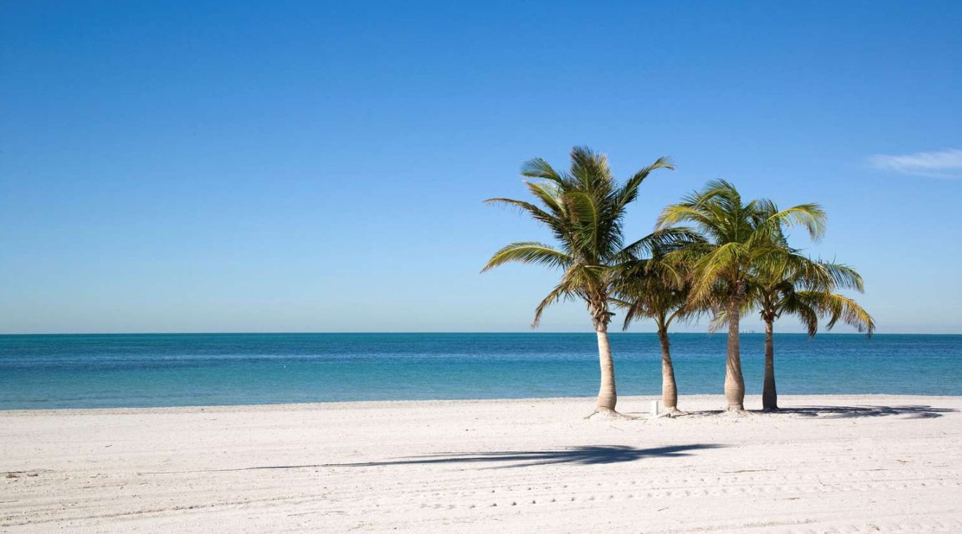 secrets-of-floridas-caladesi-island-lagoons