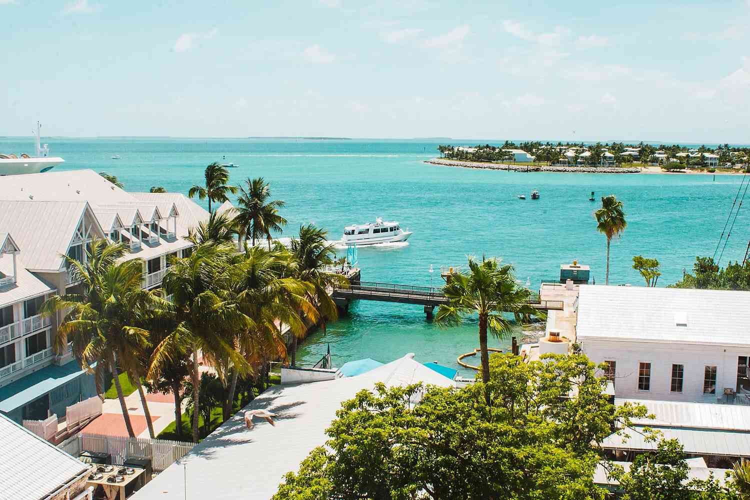 secrets-of-floridas-gulf-islands-rare-orchid-habitats