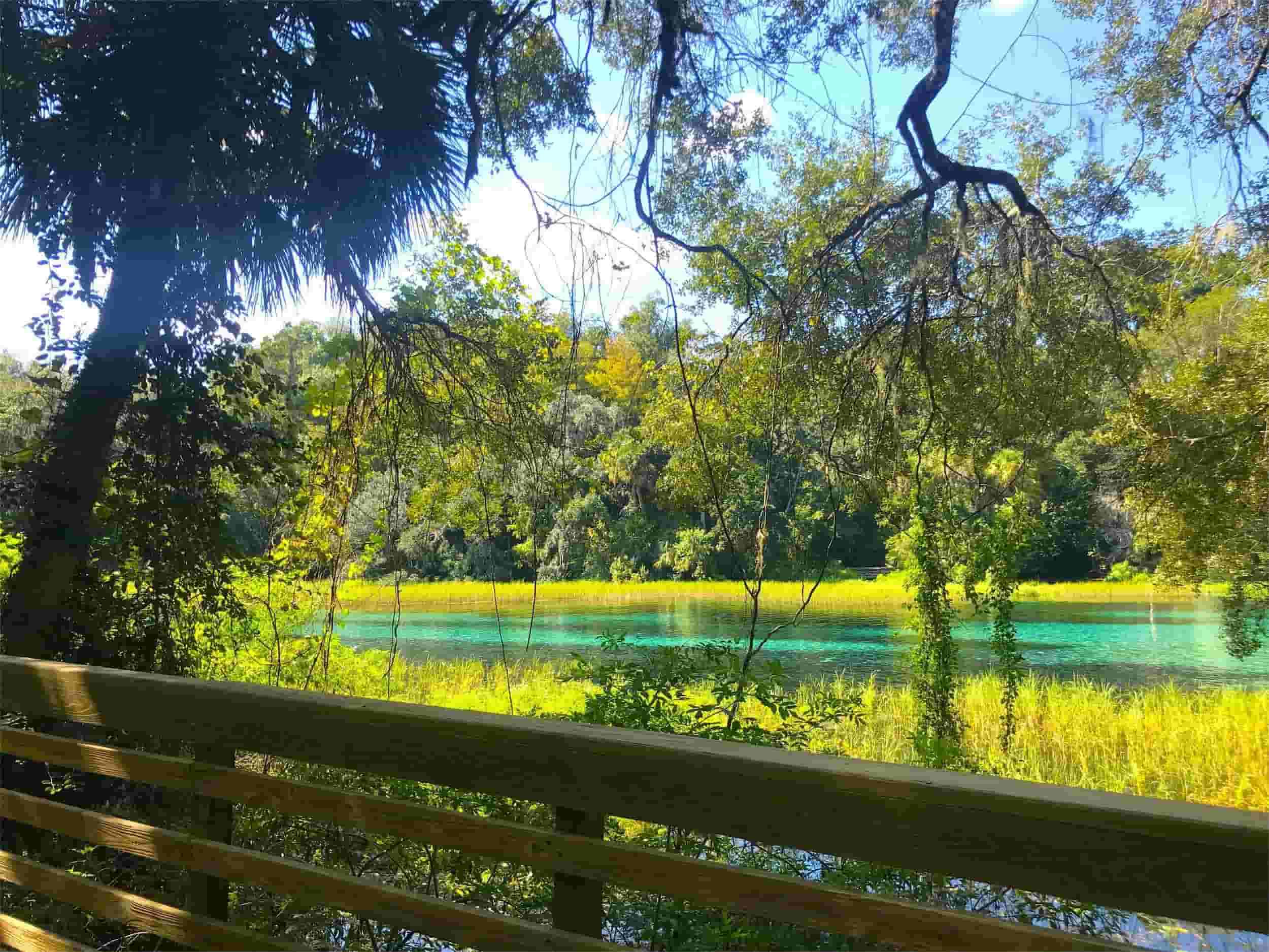 secrets-of-floridas-rainbow-springs-pools