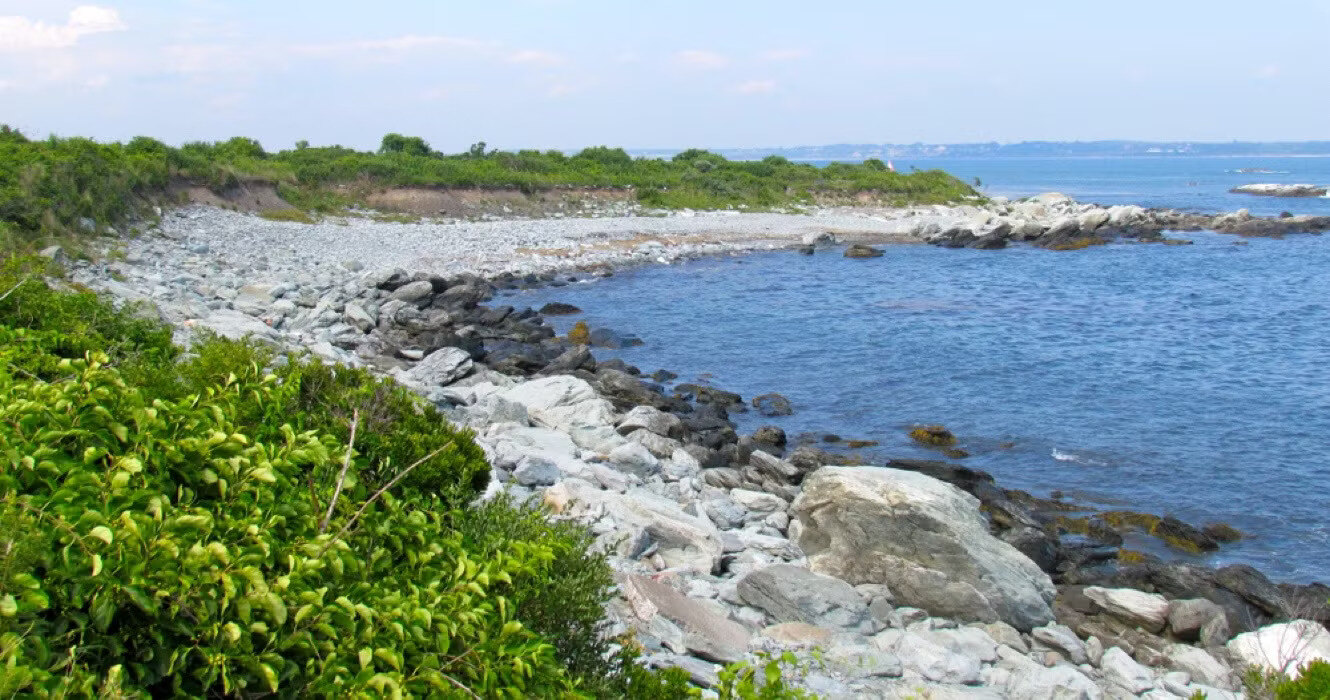 Secrets-Of-Fox-Dens-At-Sachuest-Point-In-Rhode-Island secrets-of-fox-dens-at-sachuest-point-in-rhode-island