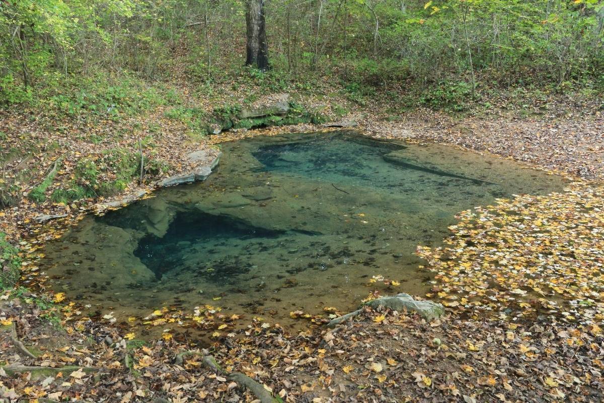 secrets-of-georgias-blue-hole-springs