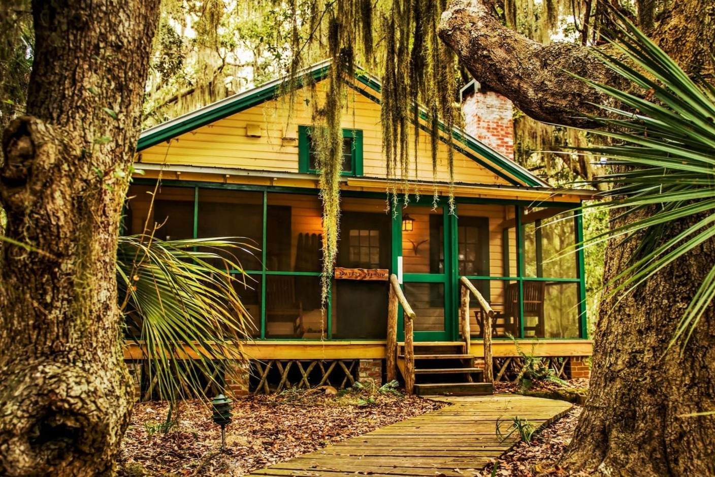 secrets-of-georgias-little-st-simons-fiddler-crab-colonies